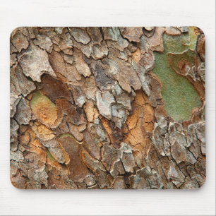 USA, Tennessee, Close Up Of Bark On A Tree Mouse Pad