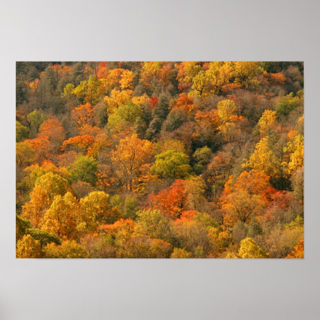 USA, Tennessee. Fall Foliage 2 Poster (Front)