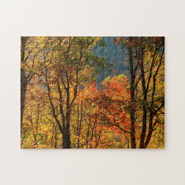 USA, Tennessee. Fall Foliage Jigsaw Puzzle (Horizontal)