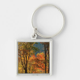 USA, Tennessee. Fall Foliage Keychain
