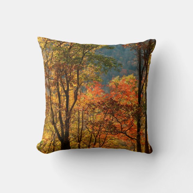 USA, Tennessee. Fall Foliage Throw Pillow (Front)