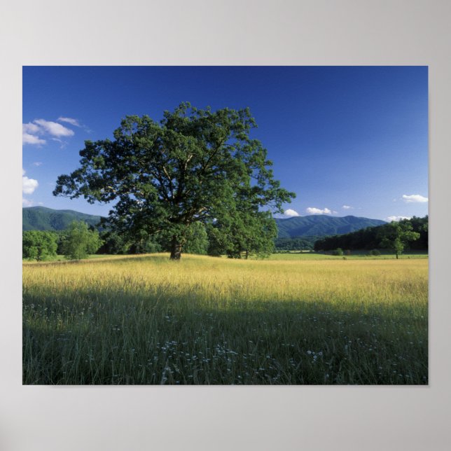USA, Tennessee. Great Smokey Mountains 2 Poster (Front)