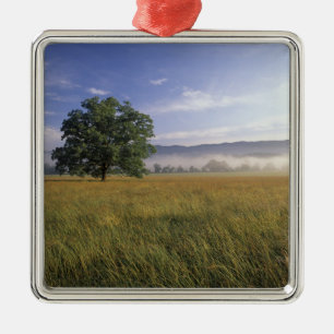USA, Tennessee. Great Smokey Mountains Metal Ornament