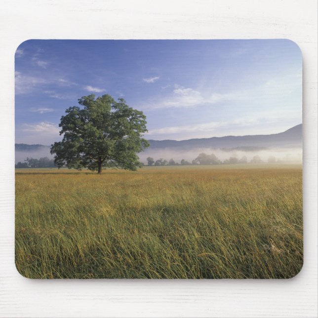USA, Tennessee. Great Smokey Mountains Mouse Pad (Front)
