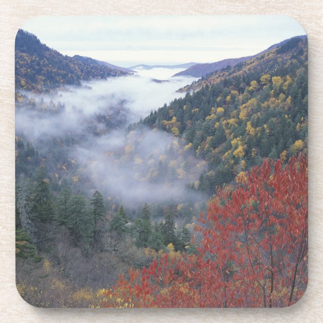 USA, Tennessee, Great Smokey Mountains National Drink Coaster (Front)