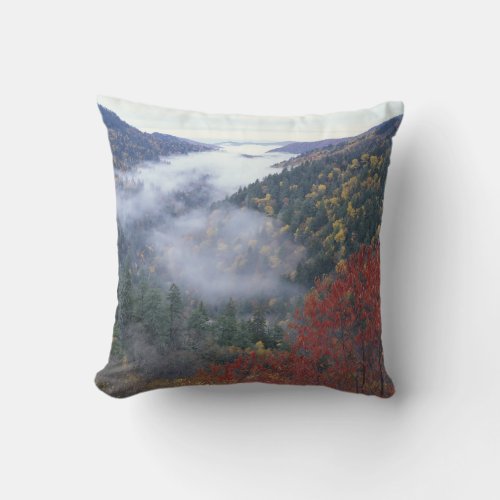 USA Tennessee Great Smokey Mountains National Throw Pillow