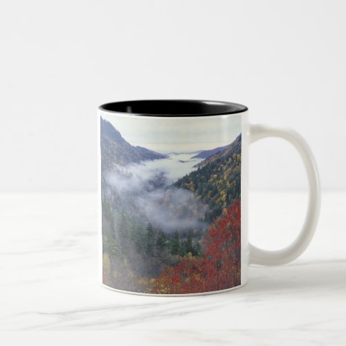 USA Tennessee Great Smokey Mountains National Two_Tone Coffee Mug