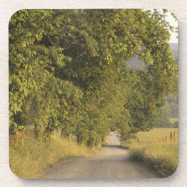 USA, Tennessee, Great Smoky Mountains National 2 Beverage Coaster (Front)