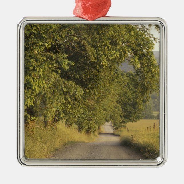 USA, Tennessee, Great Smoky Mountains National 2 Metal Ornament (Front)