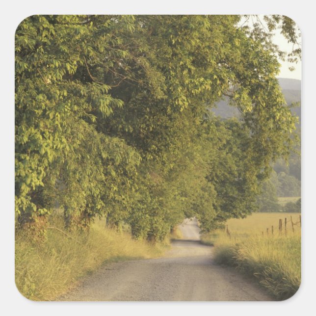 USA, Tennessee, Great Smoky Mountains National 2 Square Sticker (Front)