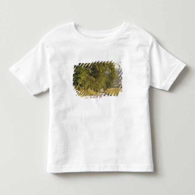 USA, Tennessee, Great Smoky Mountains National 2 Toddler T-shirt (Front)