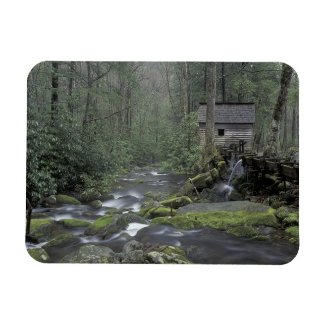 USA, Tennessee, Great Smoky Mountains National 3 Magnet (Horizontal)