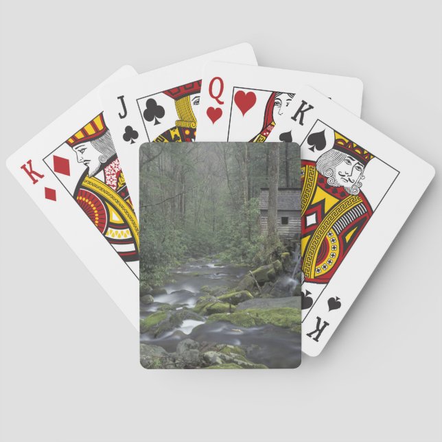 USA, Tennessee, Great Smoky Mountains National 3 Poker Cards (Back)