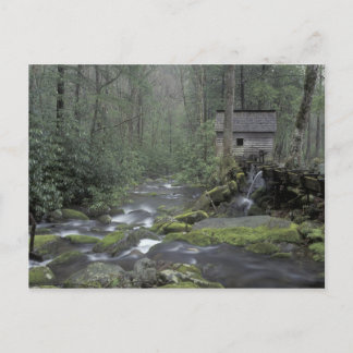 USA, Tennessee, Great Smoky Mountains National 3 Postcard