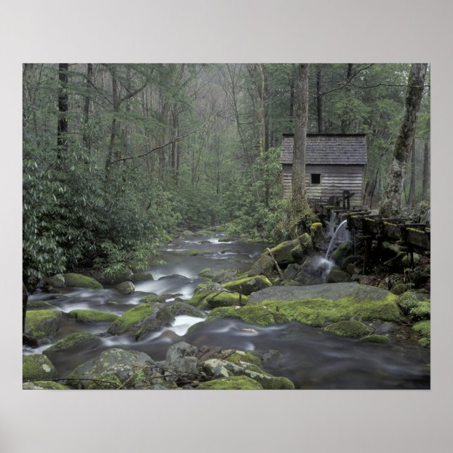 USA, Tennessee, Great Smoky Mountains National 3 Poster (Front)