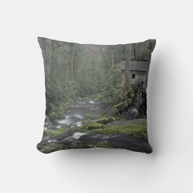 USA, Tennessee, Great Smoky Mountains National 3 Throw Pillow (Front)