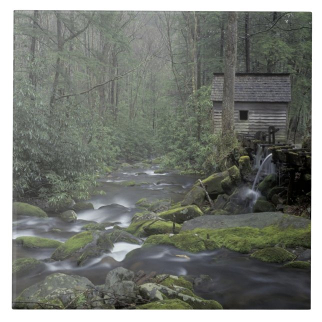 USA, Tennessee, Great Smoky Mountains National 3 Tile (Front)