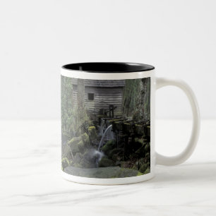 USA, Tennessee, Great Smoky Mountains National 3 Two-Tone Coffee Mug
