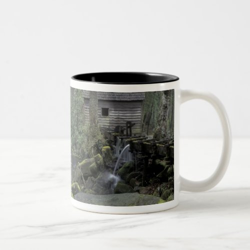 USA Tennessee Great Smoky Mountains National 3 Two_Tone Coffee Mug