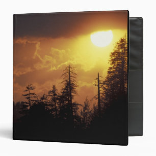 USA, Tennessee, Great Smoky Mountains NP. 2 Binder