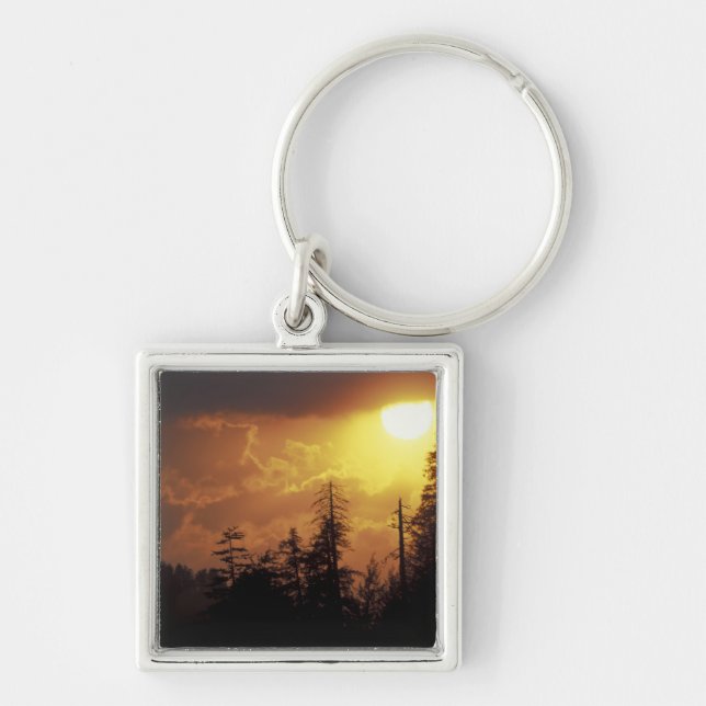 USA, Tennessee, Great Smoky Mountains NP. 2 Keychain (Front)