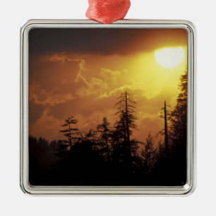 USA, Tennessee, Great Smoky Mountains NP. 2 Metal Ornament