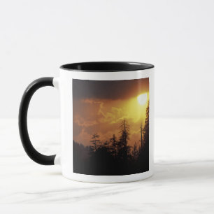 USA, Tennessee, Great Smoky Mountains NP. 2 Mug