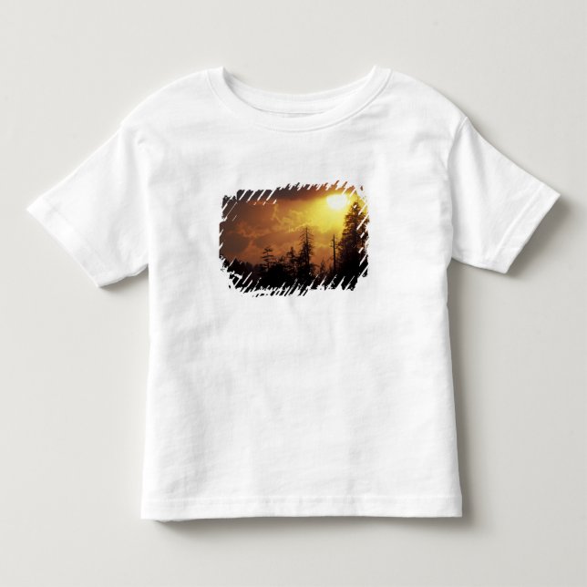 USA, Tennessee, Great Smoky Mountains NP. 2 Toddler T-shirt (Front)