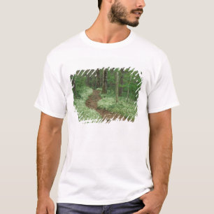 USA, Tennessee, Great Smoky Mountains NP, 3 T-Shirt