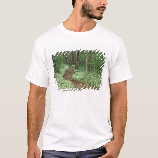 USA, Tennessee, Great Smoky Mountains NP, 3 T-Shirt (Front)