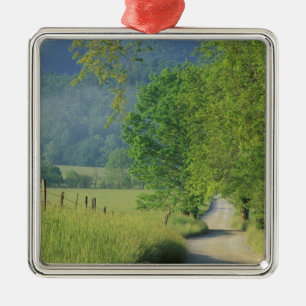 USA, Tennessee, Great Smoky Mountains NP, Metal Ornament