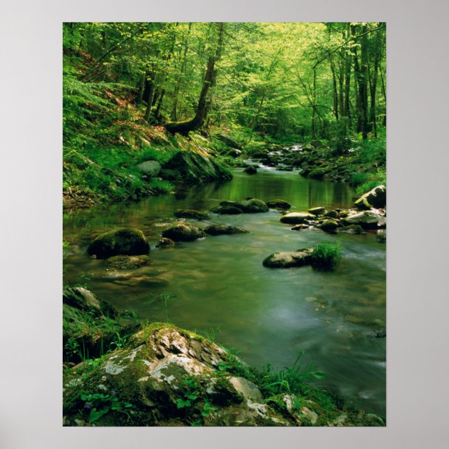 USA, Tennessee, Great Smoky Mountains Poster (Front)