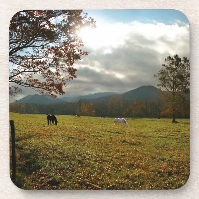 USA, Tennessee. Horses In Cades Cove Valley Beverage Coaster (Front)