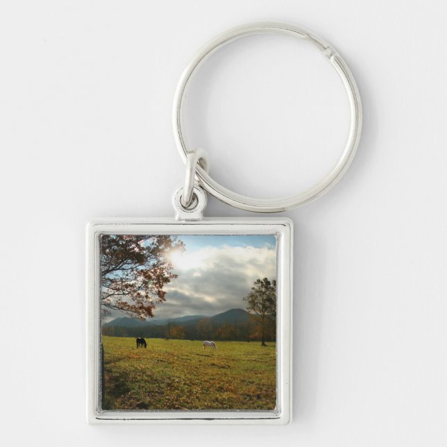 USA, Tennessee. Horses In Cades Cove Valley Keychain (Front)