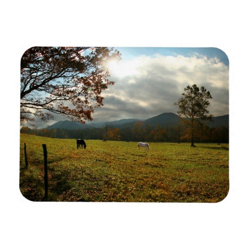 USA Tennessee Horses In Cades Cove Valley Magnet