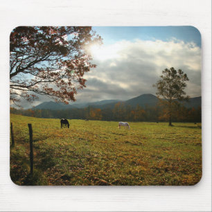 USA, Tennessee. Horses In Cades Cove Valley Mouse Pad