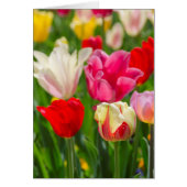 USA, Tennessee, Nashville (Front)