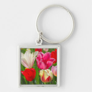 USA, Tennessee, Nashville Keychain