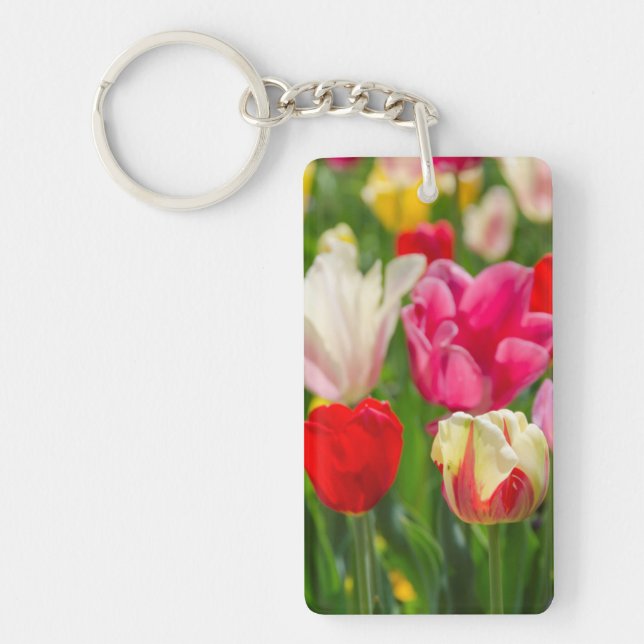 USA, Tennessee, Nashville Keychain (Front)