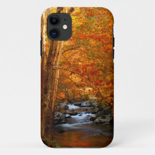 USA, Tennessee. Rushing Mountain Creek 2 iPhone 11 Case