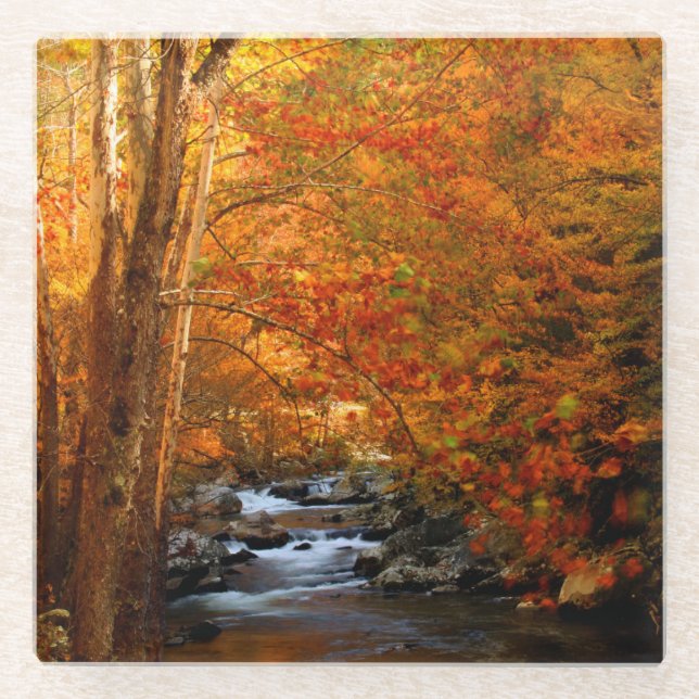 USA, Tennessee. Rushing Mountain Creek 2 Glass Coaster (Front)
