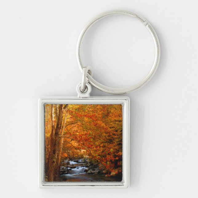 USA, Tennessee. Rushing Mountain Creek 2 Keychain (Front)