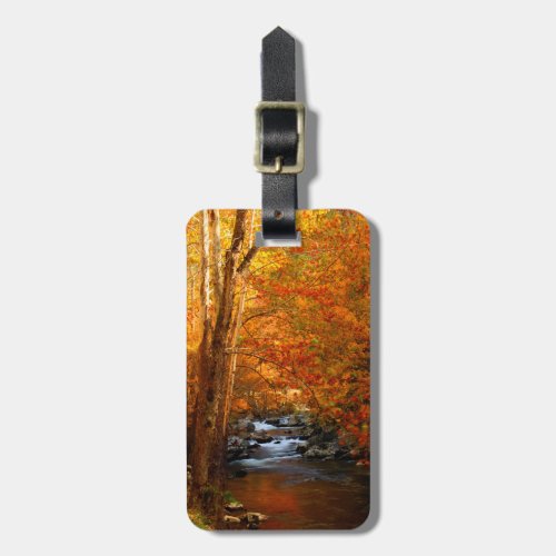 USA Tennessee Rushing Mountain Creek 2 Luggage Tag