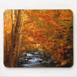 USA, Tennessee. Rushing Mountain Creek 2 Mouse Pad