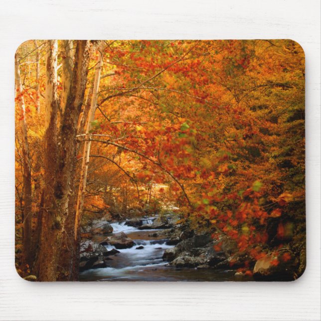 USA, Tennessee. Rushing Mountain Creek 2 Mouse Pad (Front)
