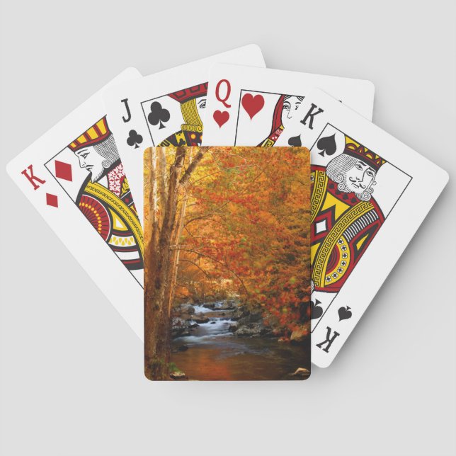 USA, Tennessee. Rushing Mountain Creek 2 Poker Cards (Back)
