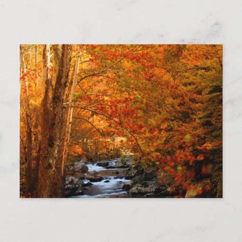 USA Tennessee Rushing Mountain Creek 2 Postcard
