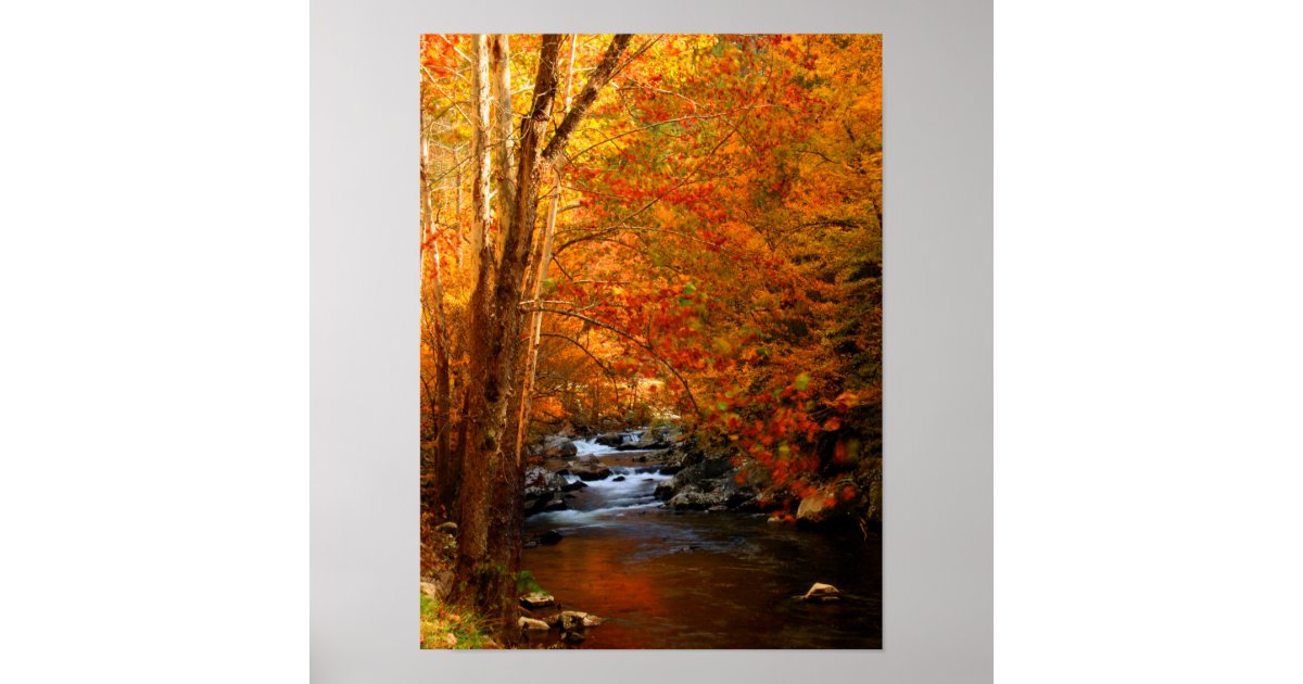 USA, Tennessee. Rushing Mountain Creek 2 Poster | Zazzle