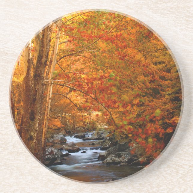 USA, Tennessee. Rushing Mountain Creek 2 Sandstone Coaster (Front)