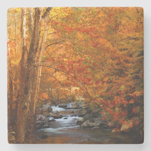 USA Tennessee Rushing Mountain Creek 2 Stone Coaster